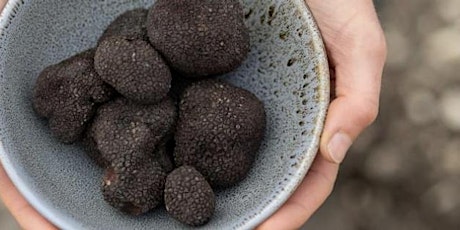 Miro and Black Estate Wines Colab featuring  Kings truffles primary image