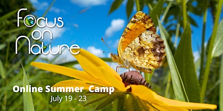Focus on Nature Online  Summer Camp primary image