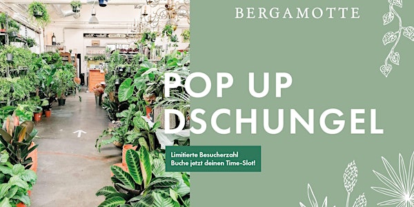 Bergamotte Pop Up Dschungel // Köln