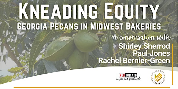 Kneading Equity: Georgia Pecans in Midwest Bakeries