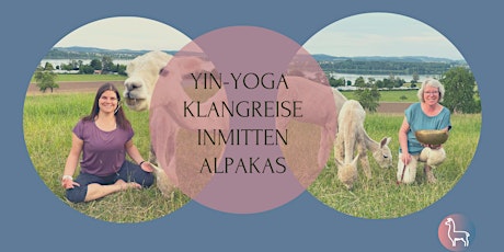 *sold out* Yin Yoga  Klangreise inmitten Alpakas Zürich