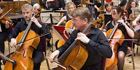 Forest Philharmonic Strings primary image