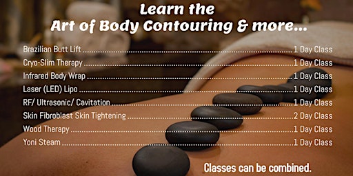 The Art of Body Contouring  Training & Certification Workshops