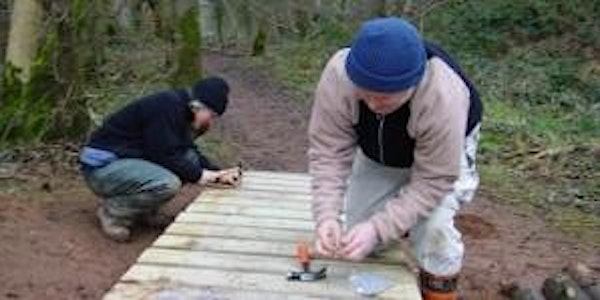 Conservation Day at Wreay Woods Nature Reserve
