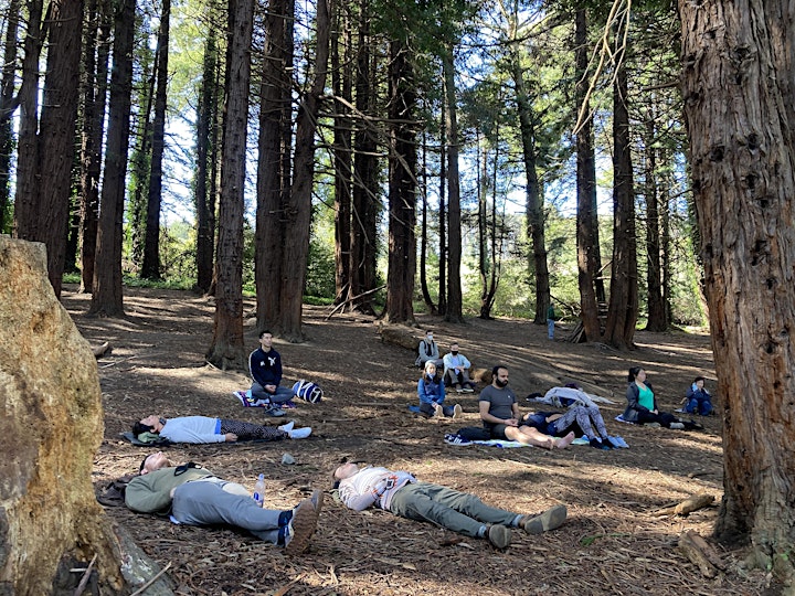 Hike & Meditation in Presidio Forest image
