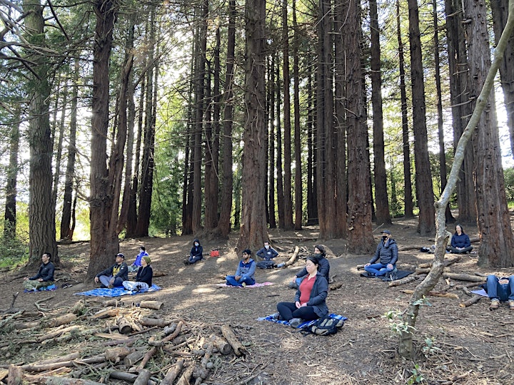 
		Hike & Meditation in Presidio Forest image
