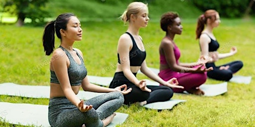 Meditation in the Park primary image