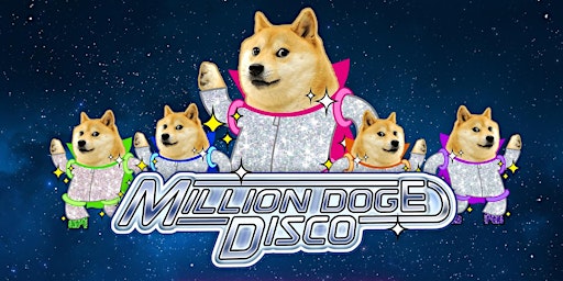 Doge Disco Party!