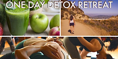 One Day Detox™ Retreat
