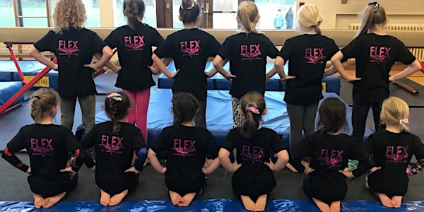 Flex Gymnastics Club [The Sports Halls at The Petersfield School]