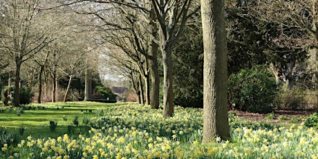 Imagen principal de Timed entry to Blickling Estate (28 June - 4 July)