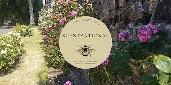 Themed Tour: Scentsational - A Story of Perfume and Pollinators
