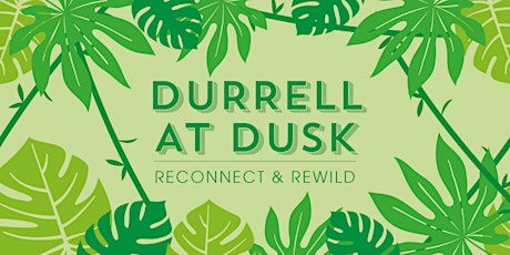 Primaire afbeelding van Durrell at Dusk – Reconnect & Rewild
