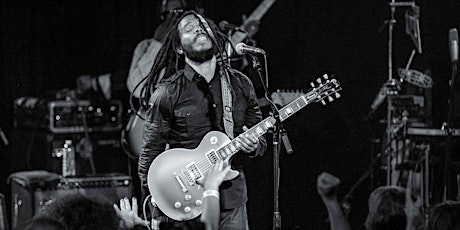 Ziggy Marley The Fly Rasta Tour + Steel Pulse primary image