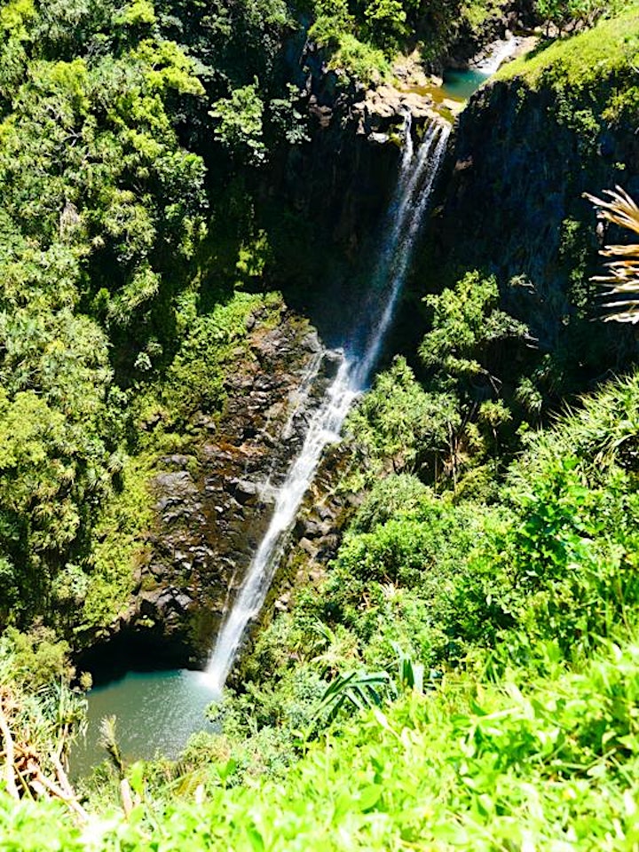 Maui Bellydance Jungle Garden Retreat with Zoe Jakes image