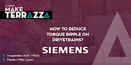 Primaire afbeelding van TERRAZZA 4: How to reduce torque ripple on drivetrains?