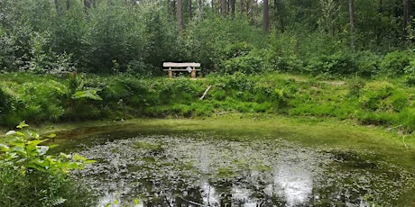 Primaire afbeelding van Archeologiedagen: oorlogssporen in het Vrieselhof