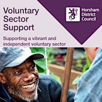 Voluntary Sector Support