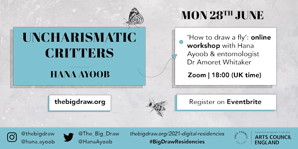 How to draw a fly, with Hana Ayoob & Dr Amoret Whitaker