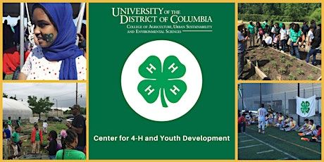 Advancing Youth Development Reimagined: Youth Internship Program (UPO)