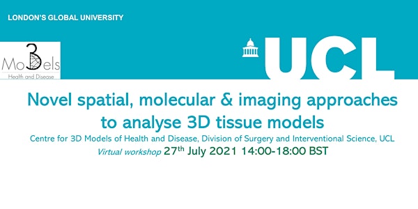 Novel spatial, molecular & imaging approaches to analyse 3D tissue models