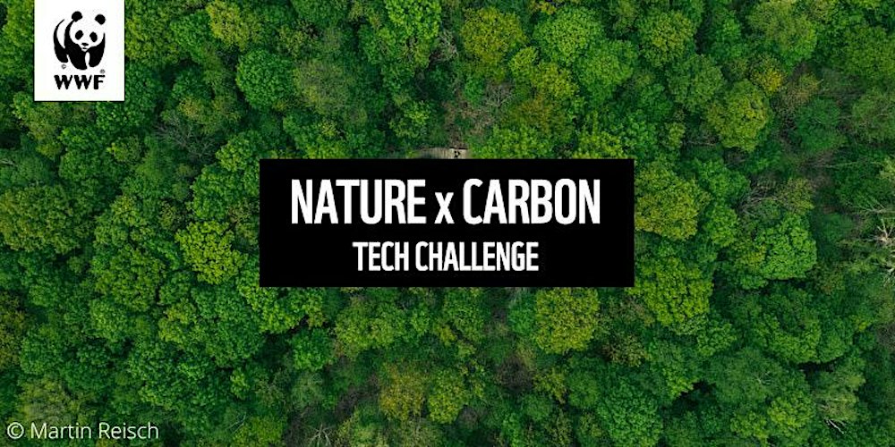 Nature x Carbon