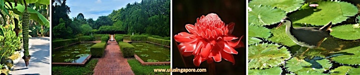 Garden in a City - Singapore Botanic Gardens Stroll image
