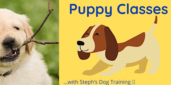 Puppy Course