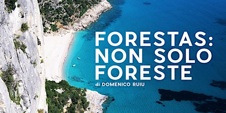 FORESTAS: NON SOLO FORESTE di Domenico Ruiu