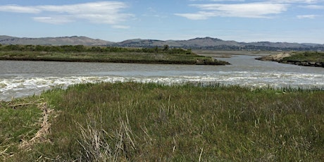 Cullinan Ranch Tidal Wetland Restoration Field Trip primary image