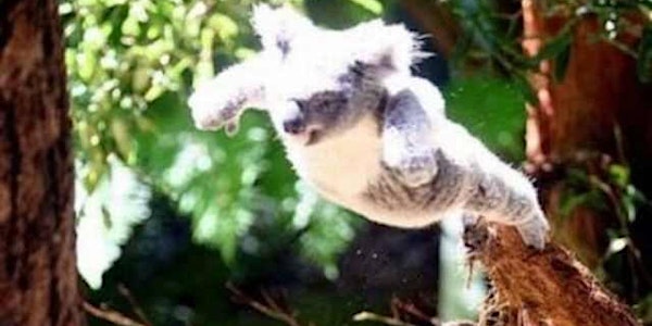 Coherence Therapy Intermediate Training Workshop - Sydney, Australia (14 hr...