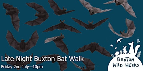 Late Night Bat Walk from Buxton Opera House to Gadley Wood primary image