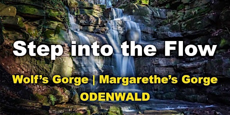 Imagen principal de Step into the Flow | Wolfsschlucht & Margarethenschlucht | 14 km | Odenwald