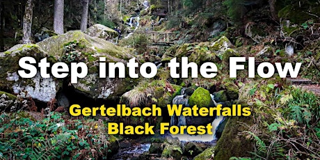 Imagen principal de Step into the Flow | Gertelbach Waterfalls | 10 km | Black Forest