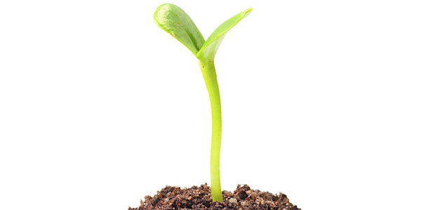 Seeding Fort Collins info session