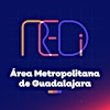 Logotipo da organização REDi AMG