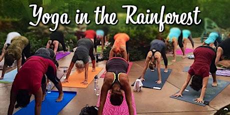 Yoga in the Rainforest tickets