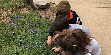 Starting Out Wild: Water, Water Everywhere (ages 1-3) primary image