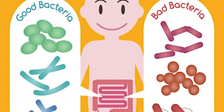 GUT HEALTH - how to boost your good gut bacteria  for health & healing! primary image