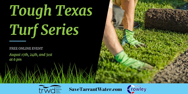 Tough Texas Turf: 3-Part Series