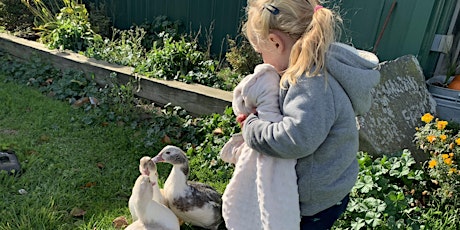 Family Hayride and interactive petting zoo visit primary image