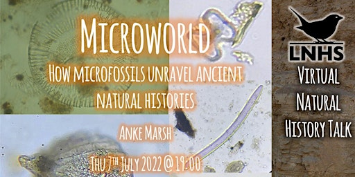 Microworld: How microfossils unravel ancient natural histories  Anke Marsh