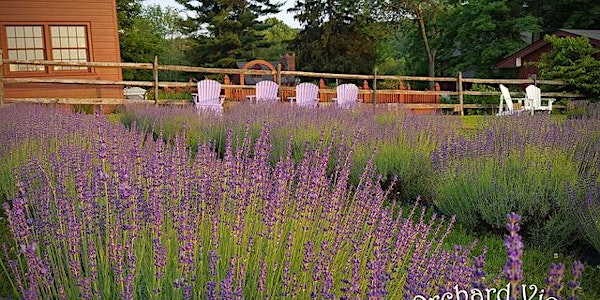 Writing Workshop at Orchard View Lavender Farm