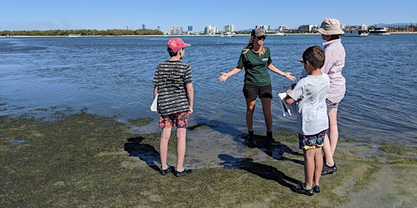 CANCELLED NaturallyGC Kids- Seagrass of the Broadwater