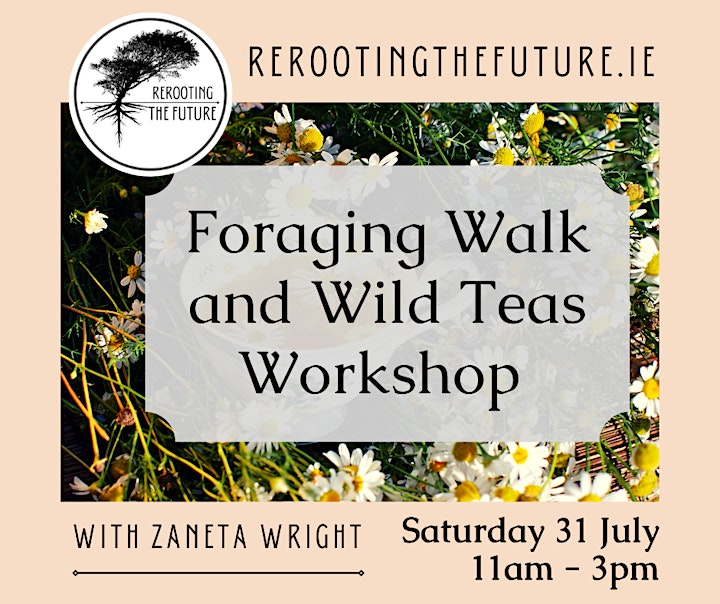 Foraging Walk & Wild Teas Workshop image