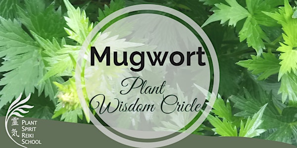 Mugwort Plant Wisdom Circle