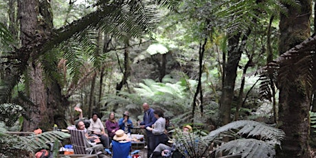 Victoria's Mountain Ash Forests - It's time to protect them primary image