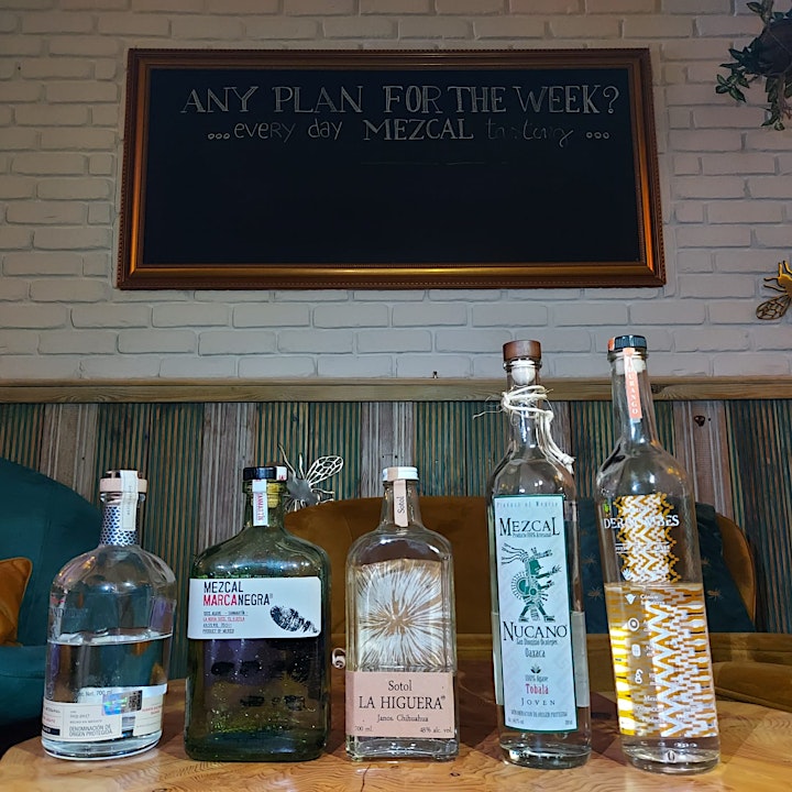 Mexican food Tasting with Mezcal Pairing image