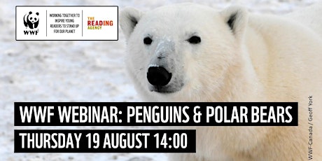 Primaire afbeelding van Penguins and Polar Bears  -  Webinar with the World Wildlife Fund