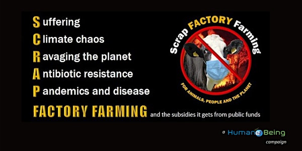 Scrap Factory Farming: A world-first legal challenge